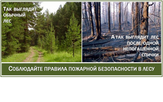 ПРАВИЛА ПОЖАРНОЙ БЕЗОПАСНОСТИ НА ПРИРОДЕ ДЛЯ ШКОЛЬНИКОВ