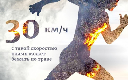 Памятка по пожарной безопасности в лесных массивах